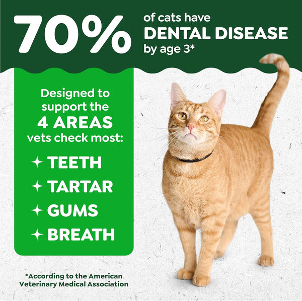 Feline Natural Crunchy Dental Cat Treats, Salmon Flavor, 9.75 Oz