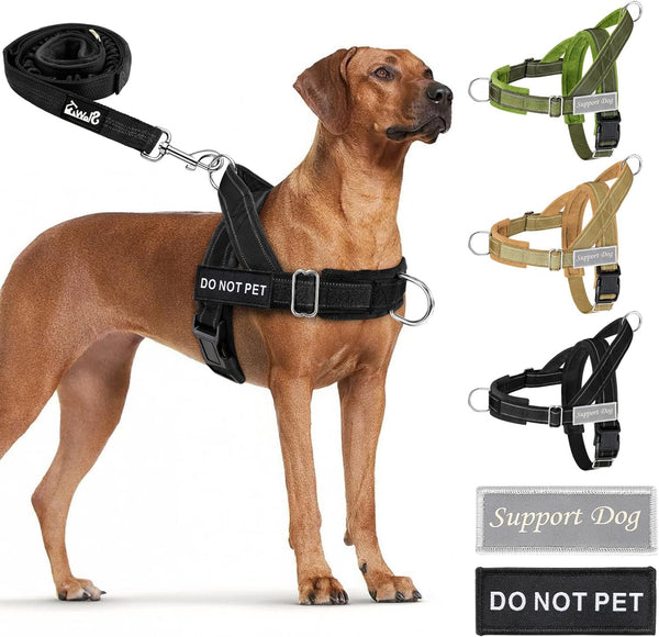 No Pull Dog Harness and Leash Set for Large Medium Breed Dogs