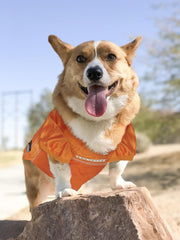 NCAA College Tennessee Volunteers Mesh Jersey for Dogs & Cats, X-Large. Licensed Big Dog Jersey with Your Favorite Football/Basketball College Team