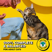 Classic Crunchy and Soft Cat Treats, Tasty Chicken, 30 Oz