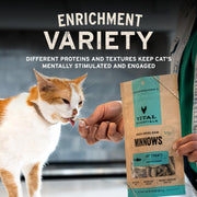 Freeze Dried Cat Treats, Chicken Breast, 2.1 Oz Bag