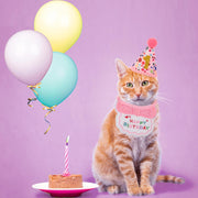 Cat Birthday Hat Bandana Set, Pink Girl Kitten Birthday Outfit