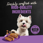 Classic Loaf in Sauce Wet Dog Food, Meaty Selects, 3.5 Oz, 36 Count