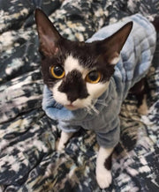 Blue Coral Fleece Sweater for Sphynx Cat Clothes Coat for Hairless Cats