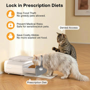 RFID Automatic Cat Feeder with Collar Sensor, Anti-Stealing Food Dispenser with Sealed Lid for Wet Dry Food and Different Diet for Multi-Pet Home, Auto Pet Feeder for Cats & Small Dogs, White