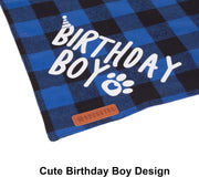Blue Cat Birthday Hat, Plaid Birthday Boy Bandana Set