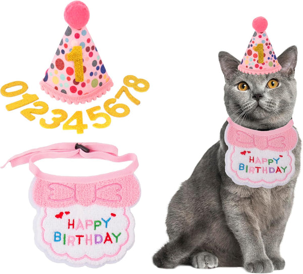 Cat Birthday Hat Bandana Set, Pink Girl Kitten Birthday Outfit