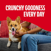 Flavor Snacks Mini’S Dog Treats, 36 Oz.