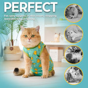 Cat Recovery Suit - Kitten Onesie for Cats after Surgery