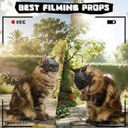 Cat Bat Mask for Halloween - Lightweight Funny Pet Costume, Easy to Wear Cosplay Party Accessory for Cats & Kittens (Black, 1 Pack)