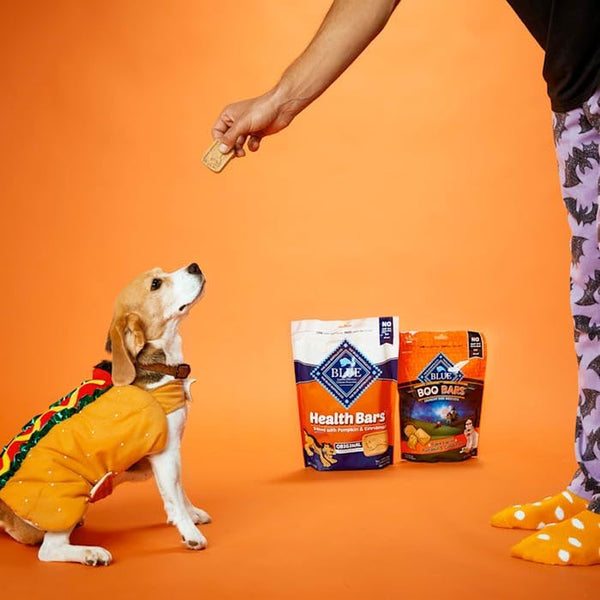 Health Bars Pumpkin & Cinnamon Dog Biscuits, 16 Oz