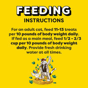 Mixups Crunchy and Soft Cat Treats, Catnip Fever, 16 Oz