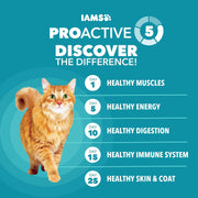 Proactive Health Indoor Dry Cat Food, Chicken & Turkey, 7 Lb
