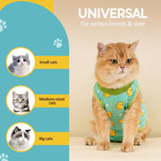 Cat Recovery Suit - Kitten Onesie for Cats after Surgery