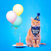 Blue Cat Birthday Hat, Plaid Birthday Boy Bandana Set