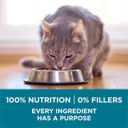 Tender Selects Dry Cat Food, Chicken, 7 Lb Bag