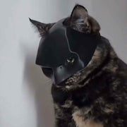 Cat Bat Mask for Halloween - Lightweight Funny Pet Costume, Easy to Wear Cosplay Party Accessory for Cats & Kittens (Black, 1 Pack)