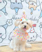 Cat Dog Princess Costumes Cat Birthday Hat and Scarf Pet Birthday Bandana