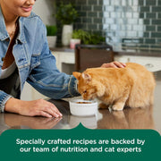 Indoor Complete Dry Cat Food, 6 Lb. Bag (Rachael Ray)