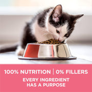 High Protein Natural Kitten Dry Cat Food, 7 Lb Bag