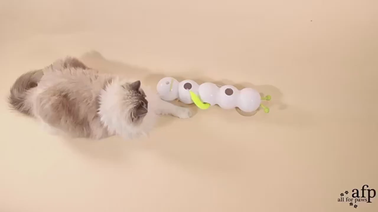 Interactive Motion Activated Cat Toy